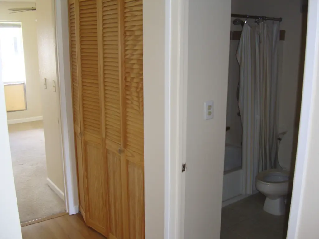 Hallway bathroom, closet, and Master Bedroom