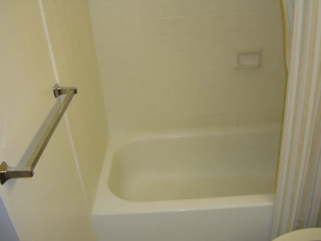 Bathroom Bathtub and Shower