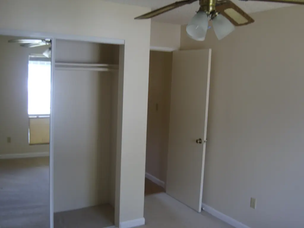 Master Bedroom Closet and Door